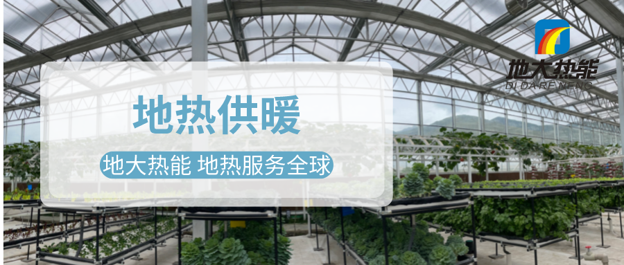 發(fā)揮地?zé)豳Y源優(yōu)勢，地?zé)徂r(nóng)業(yè)實(shí)現(xiàn)花卉產(chǎn)業(yè)特色發(fā)展 | 地大熱能 地?zé)岱?wù)全球